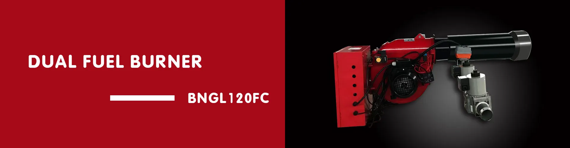 Dual Fuel Burner BNGL120FC