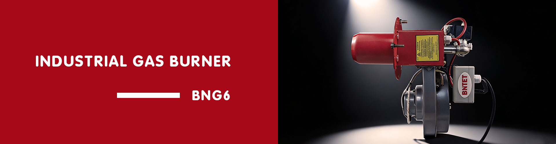 Industrial Gas Burner BNG6